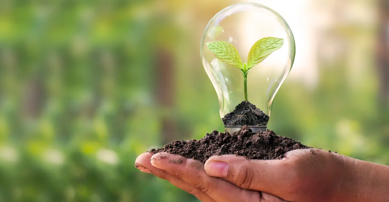 como turbinar suas plantas com adubo natural