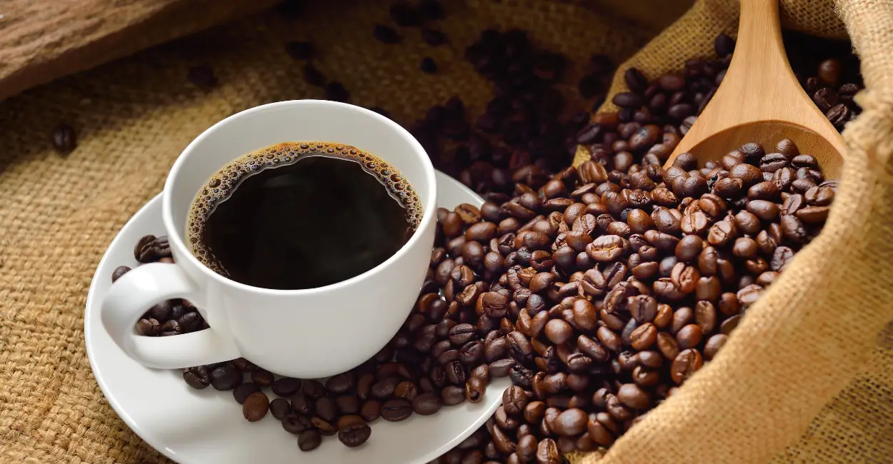 Vinificação do café e indicação geográfica são tendências