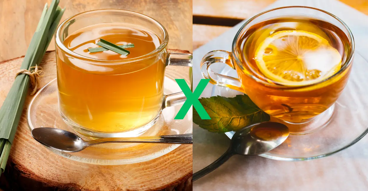Diferenças entre erva-cidreira e capim-cidreira