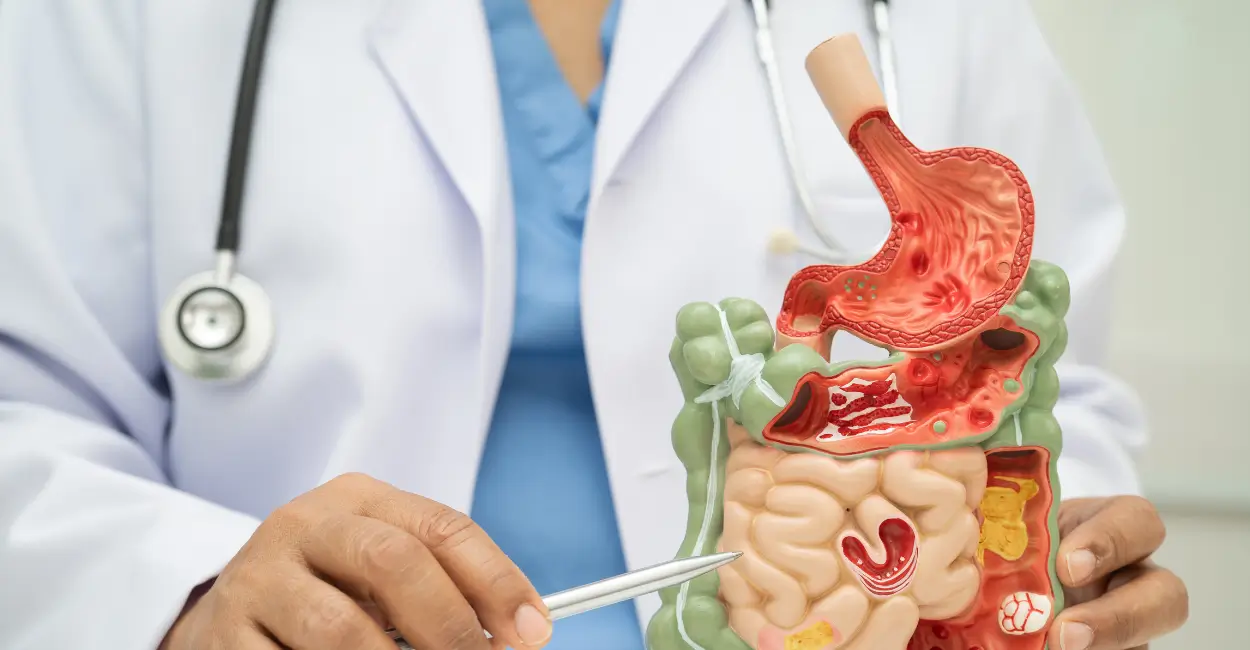 Microbiota e café com destaque para benefícios para a saúde
