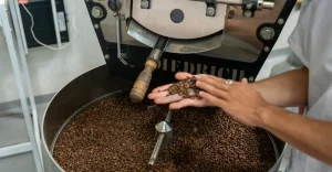 Café além da commoditiy lidera identidade geográfica