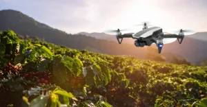 Uso de drone e pó de granito na cafeicultura é mais um sucesso capixaba