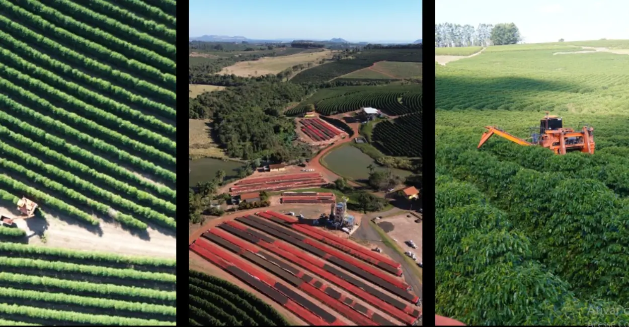 Eldorado, um complexo de fazendas que persegue o ouro líquido